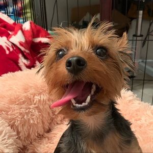 Meet your Posher, Heather